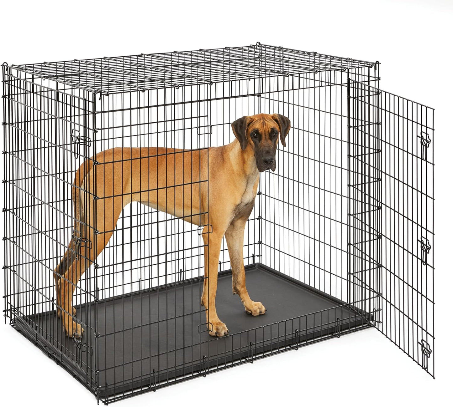 MidWest Homes for Pets Newly Enhanced Single & Double Door iCrate Dog Crate, Includes Leak-Proof Pan, Floor Protecting Feet, Divider Panel & New Patented Features