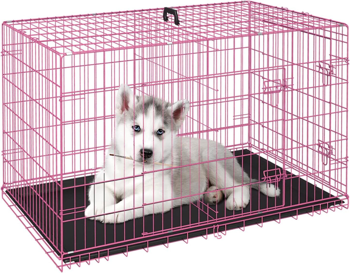FDW Dog Crate Dog Kennel Cage with Double Door,36 inch Folding Metal Wire Dog Cage with Removable Tray&Divider Panel,Pet Crate for Medium Dogs,Black