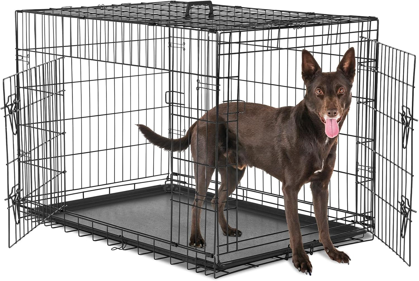 Sweetcrispy 24-Inch Single-Door Dog Crate–Durable Metal Pet Kennel with Secure Lock, Foldable Design, Removable Tray for Easy Cleaning, Portable Puppy Cage for Small Dogs, Ideal for Training & Travel