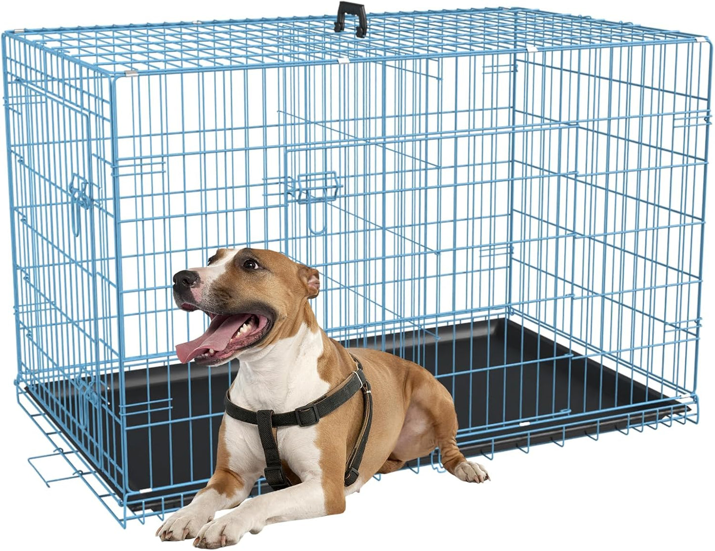 FDW Dog Crate Dog Kennel Cage with Double Door,36 inch Folding Metal Wire Dog Cage with Removable Tray&Divider Panel,Pet Crate for Medium Dogs,Black