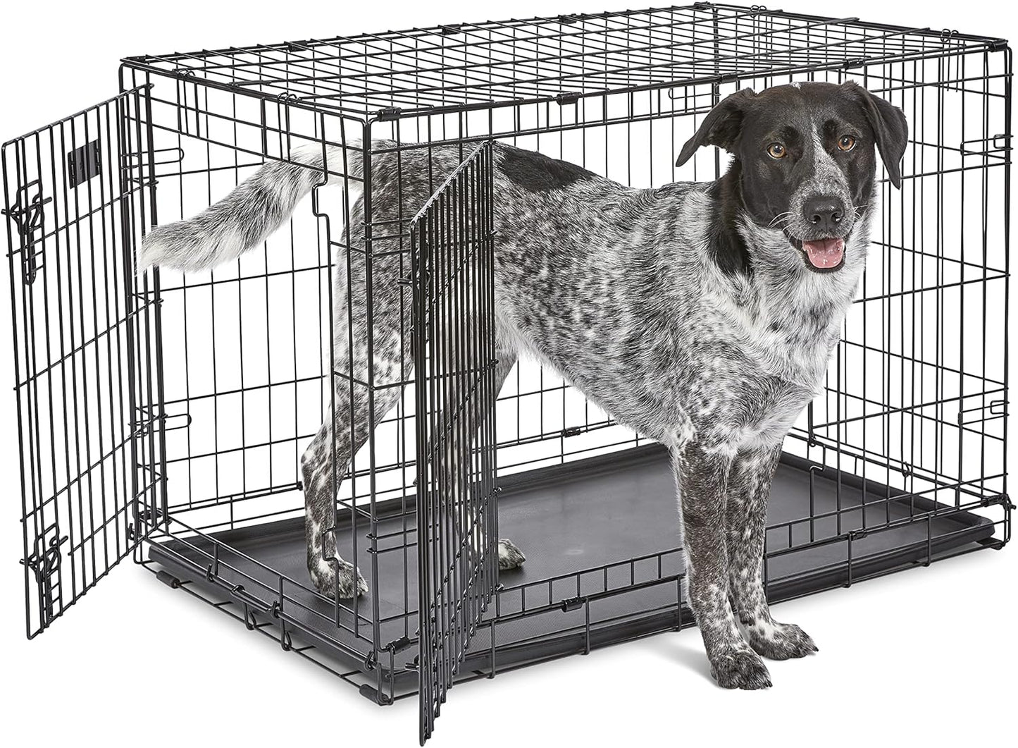 MidWest Homes for Pets Newly Enhanced Single & Double Door iCrate Dog Crate, Includes Leak-Proof Pan, Floor Protecting Feet, Divider Panel & New Patented Features